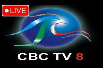 Live CBC TV 8