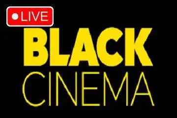 Watch live STIRR Black Cinema