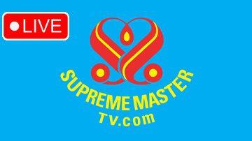 Free Supreme Master TV Live Stream