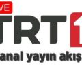 Watch online TRT 1 TV live