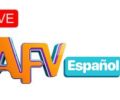 Watch Live AFV en Español