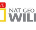 National Geographic Wild live online