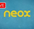 Watch Neox TV Live Stream Free