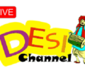 Desi Channel TV live stream